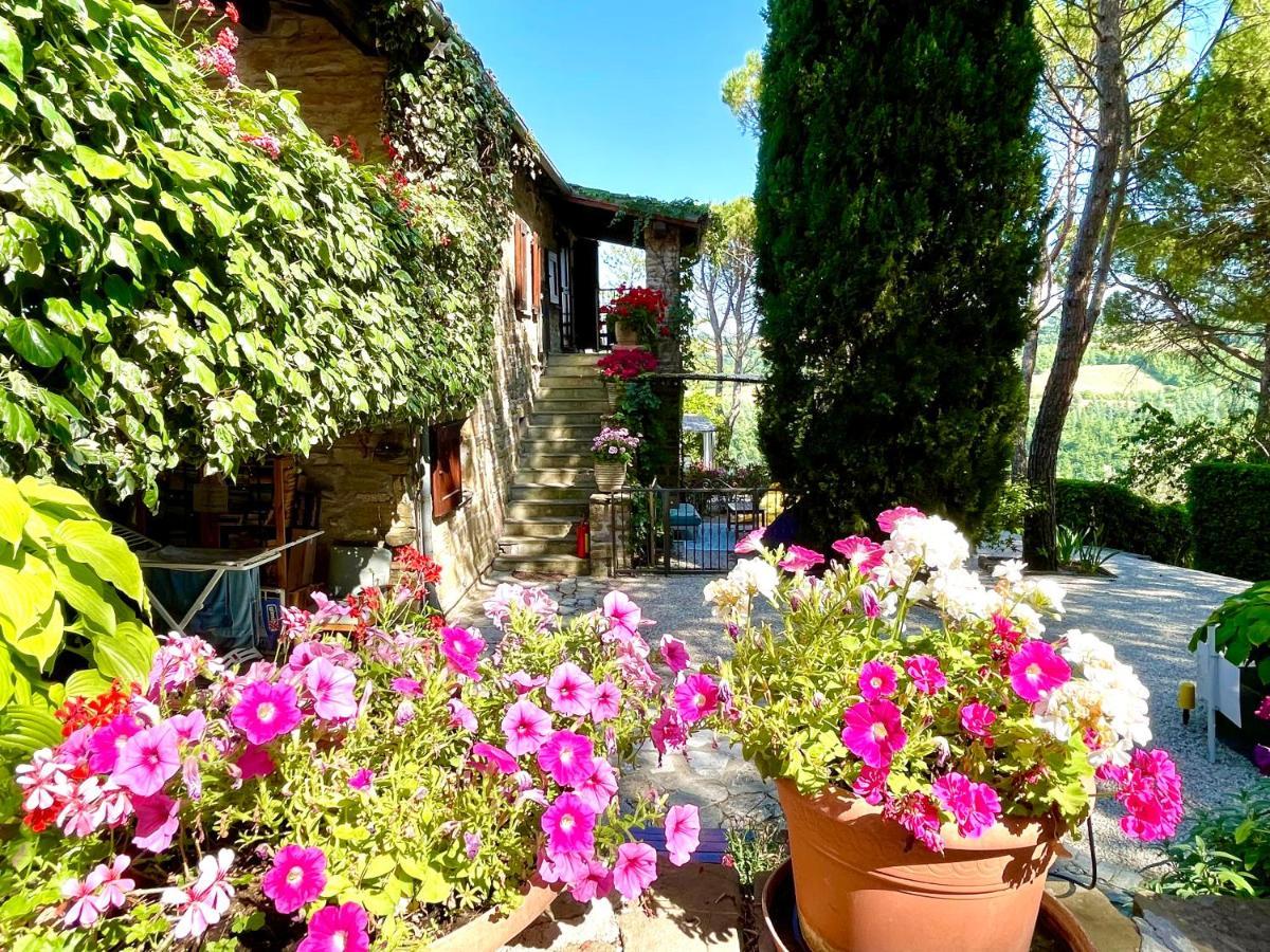 La Panoramica Gubbio: Charming Self-Catering Retreat Villa Exterior photo